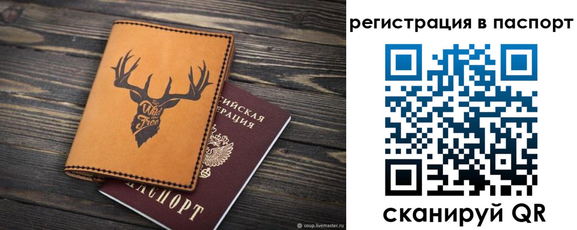 прописка паспорт в Дубовке